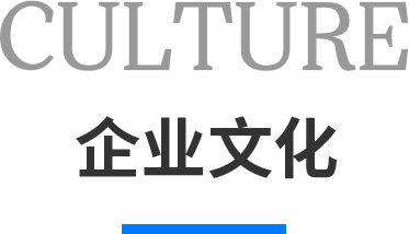 文化